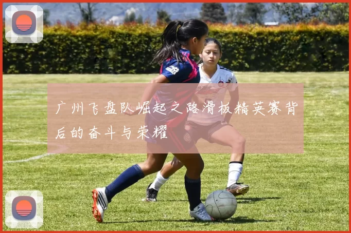 广州飞盘队崛起之路滑板精英赛背后的奋斗与荣耀