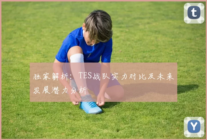 独家解析：TES战队实力对比及未来发展潜力分析