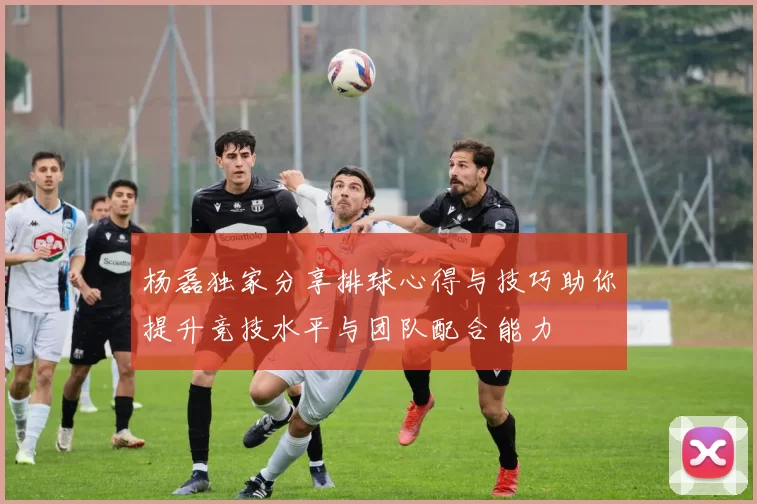 杨磊独家分享排球心得与技巧助你提升竞技水平与团队配合能力