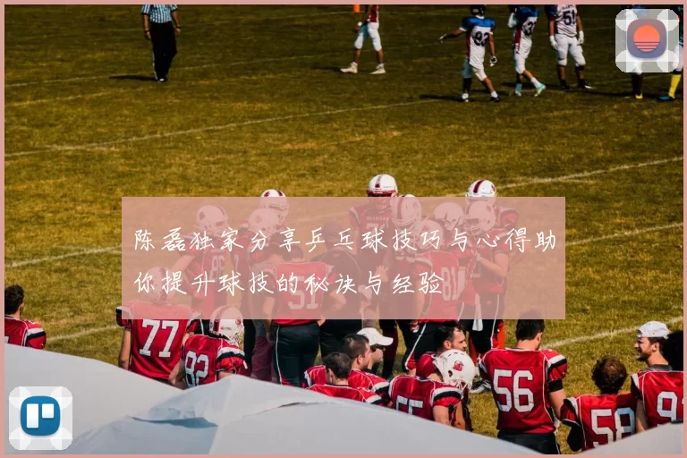 陈磊独家分享乒乓球技巧与心得助你提升球技的秘诀与经验