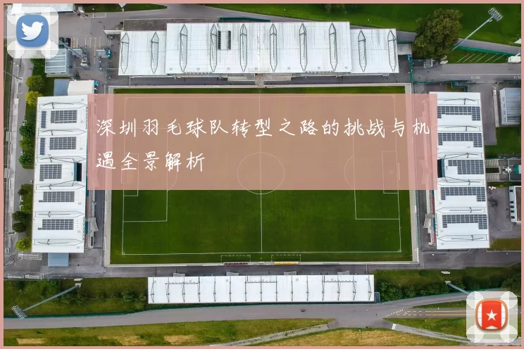 深圳羽毛球队转型之路的挑战与机遇全景解析