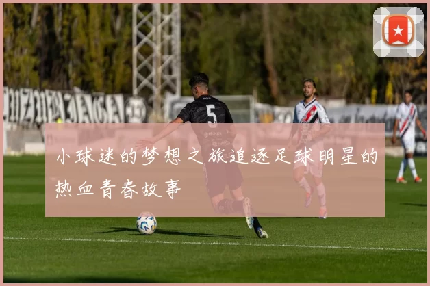 小球迷的梦想之旅追逐足球明星的热血青春故事