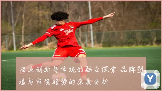 酒业创新与传统的融合探索 品牌塑造与市场趋势的深度分析
