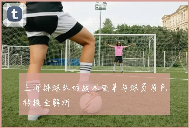 上海排球队的战术变革与球员角色转换全解析