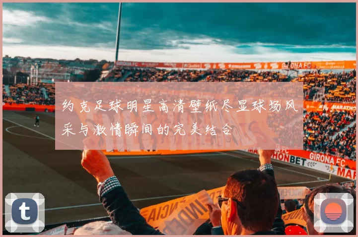约克足球明星高清壁纸尽显球场风采与激情瞬间的完美结合
