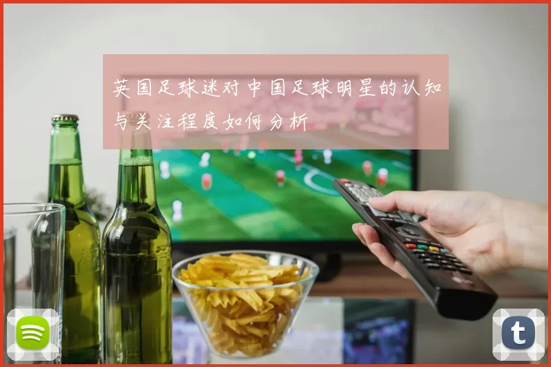 英国足球迷对中国足球明星的认知与关注程度如何分析