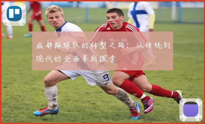 成都排球队的转型之路：从传统到现代的全面革新探索