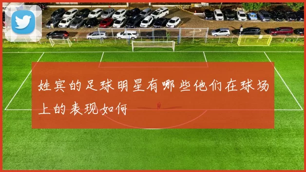 姓宾的足球明星有哪些他们在球场上的表现如何