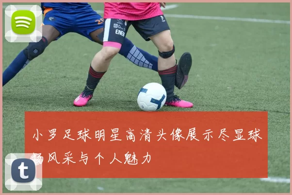 小罗足球明星高清头像展示尽显球场风采与个人魅力