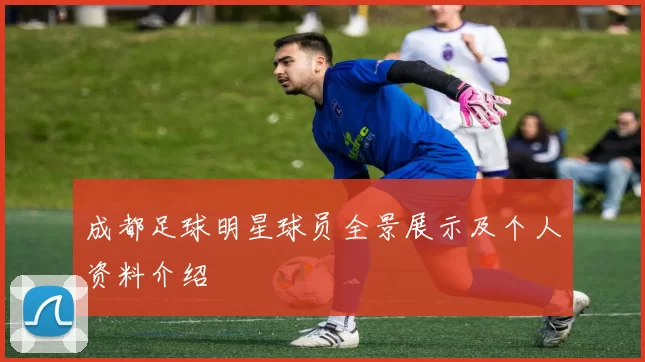 成都足球明星球员全景展示及个人资料介绍