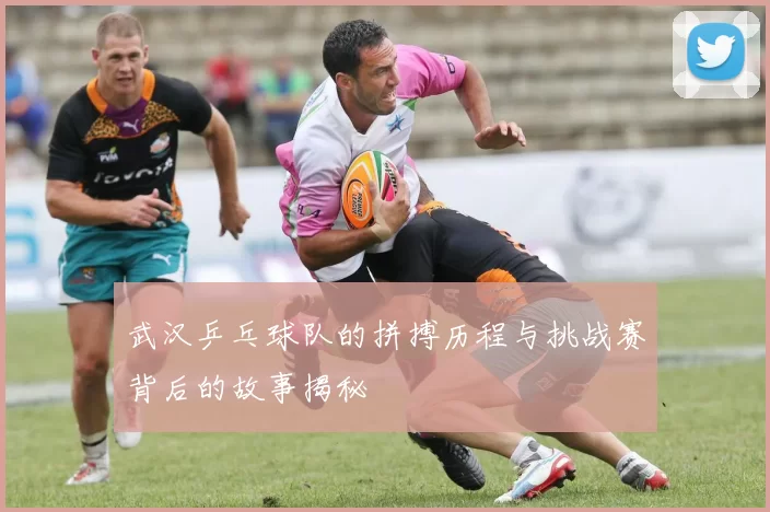 武汉乒乓球队的拼搏历程与挑战赛背后的故事揭秘