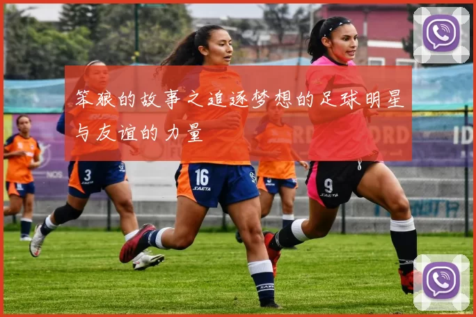 笨狼的故事之追逐梦想的足球明星与友谊的力量