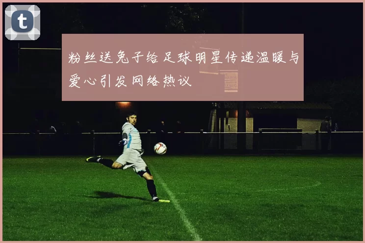 粉丝送兔子给足球明星传递温暖与爱心引发网络热议