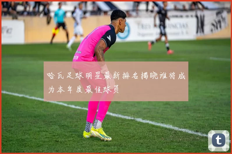 哈瓦足球明星最新排名揭晓谁将成为本年度最佳球员