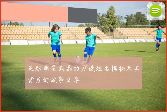 足球明星武磊的月嫂姓名揭秘及其背后的故事分享