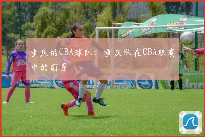 重庆的CBA球队：重庆队在CBA联赛中的前景