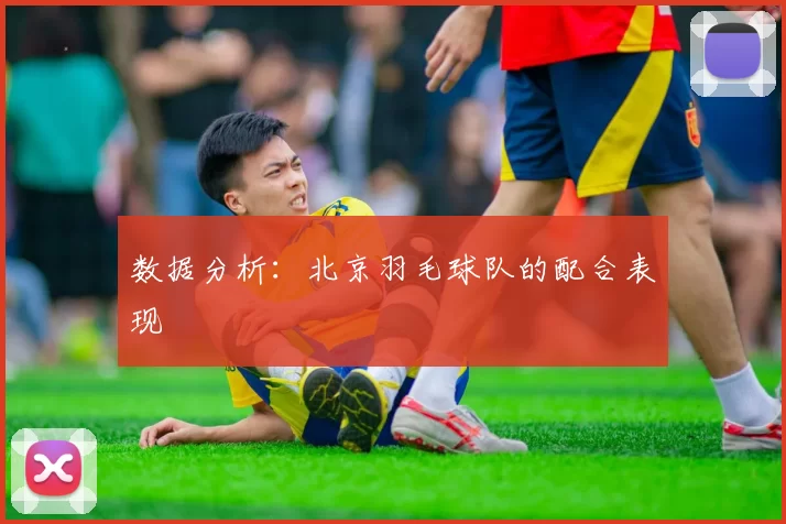 数据分析：北京羽毛球队的配合表现