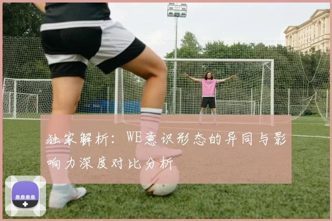 独家解析：WE意识形态的异同与影响力深度对比分析