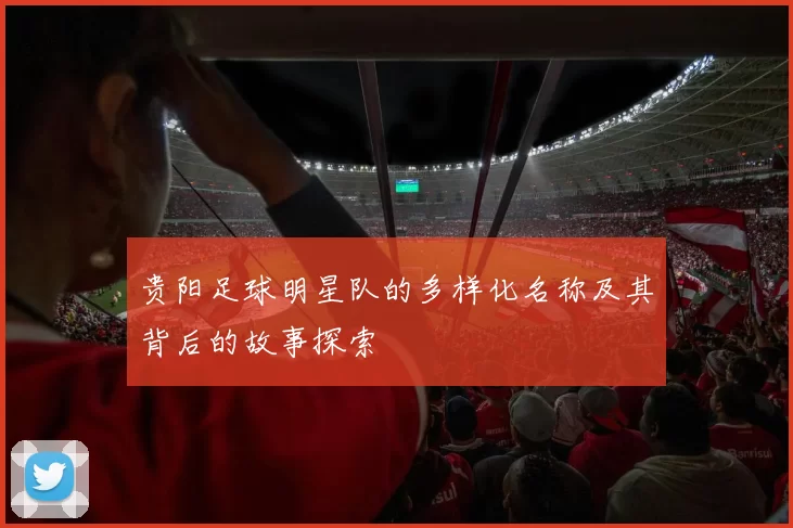 贵阳足球明星队的多样化名称及其背后的故事探索
