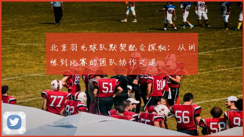 北京羽毛球队默契配合探秘：从训练到比赛的团队协作之道