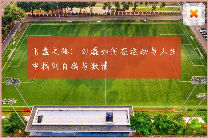 飞盘之路：刘磊如何在运动与人生中找到自我与激情