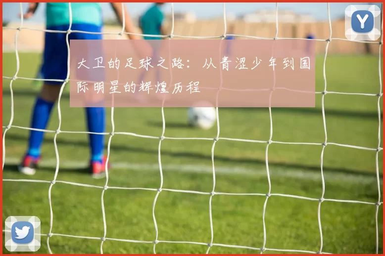大卫的足球之路：从青涩少年到国际明星的辉煌历程